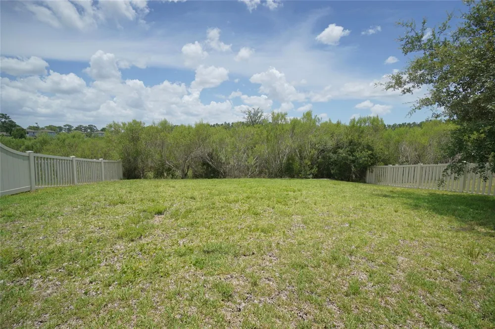 19460 BLOSSOM VINE LANE Lutz, FL 33558