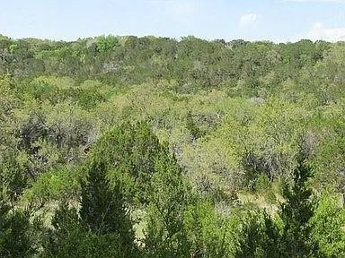 350 Bluff Road