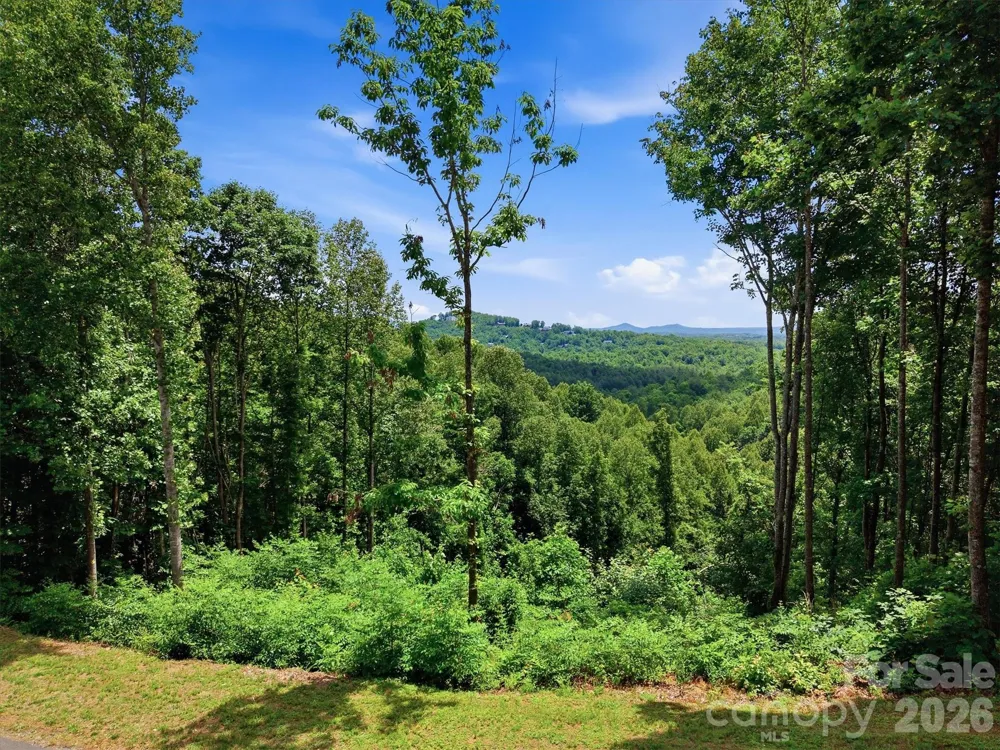 1288 Johns Ridge Parkway #245 Lenoir, NC 28645