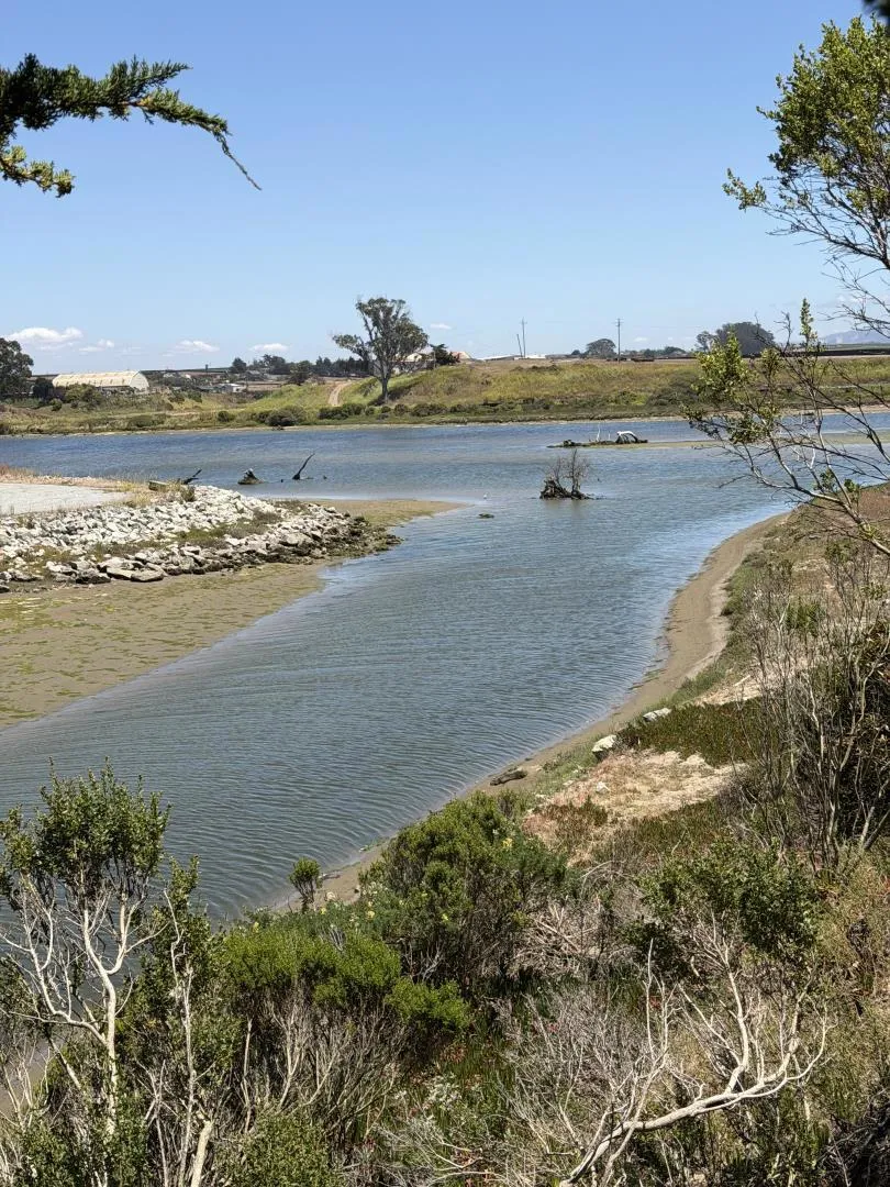 73 Pelican Watsonville, CA 95076