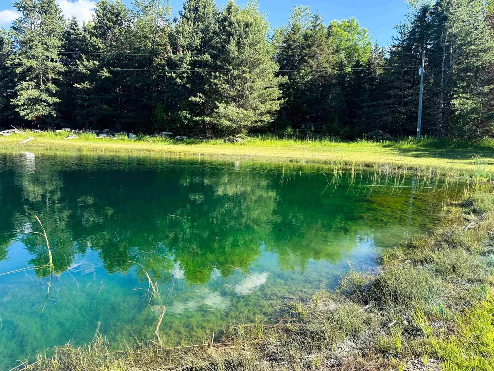 8157 NW Kellogg Road Clearwater Township, MI 49612