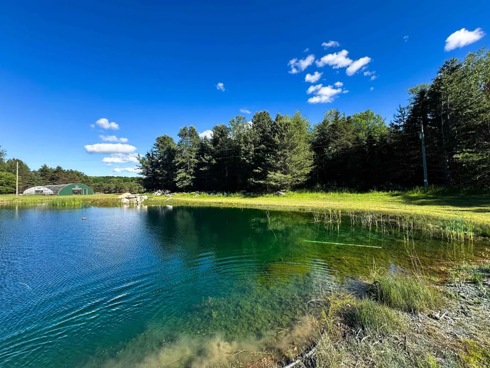 8157 NW Kellogg Road Clearwater Township, MI 49612