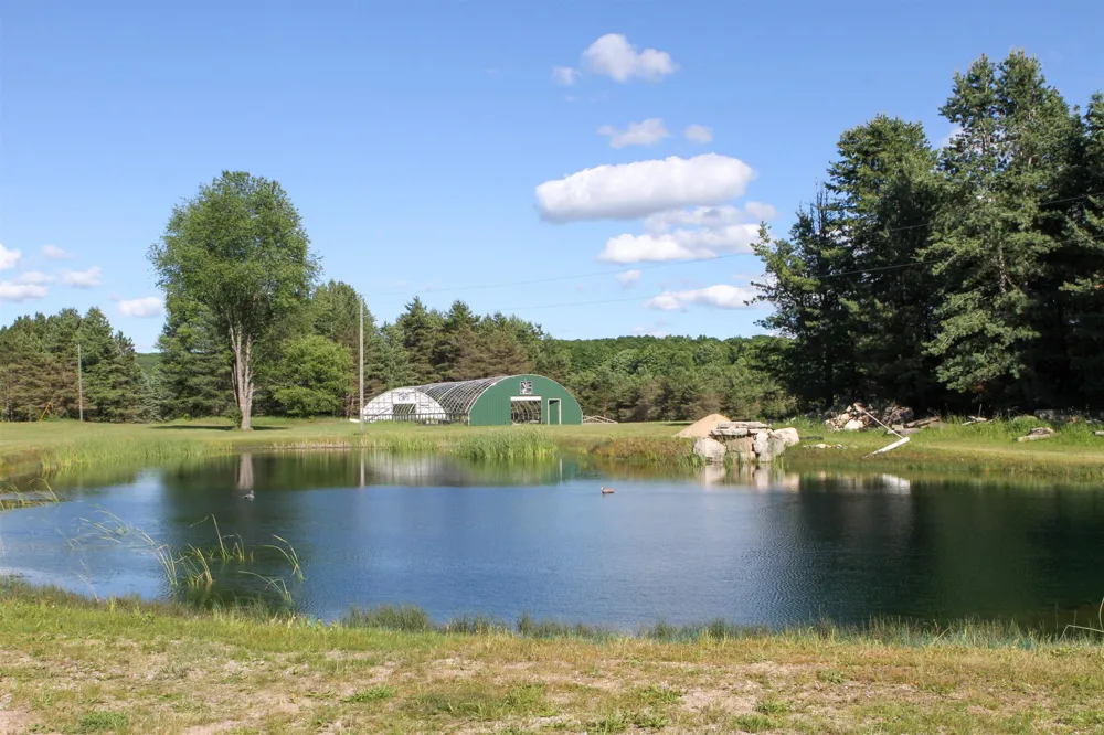 8157 NW Kellogg Road Clearwater Township, MI 49612