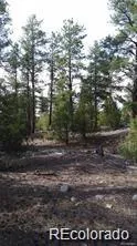 13 Tract 2 Costilla Place