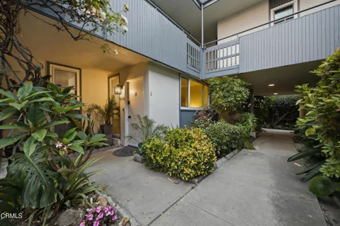 245 Aster Street #6