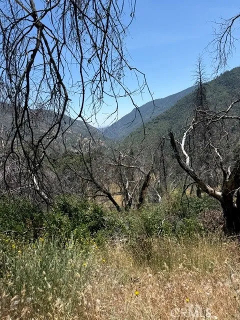 24 N #35 RD, Paskenta Paskenta, CA 96074