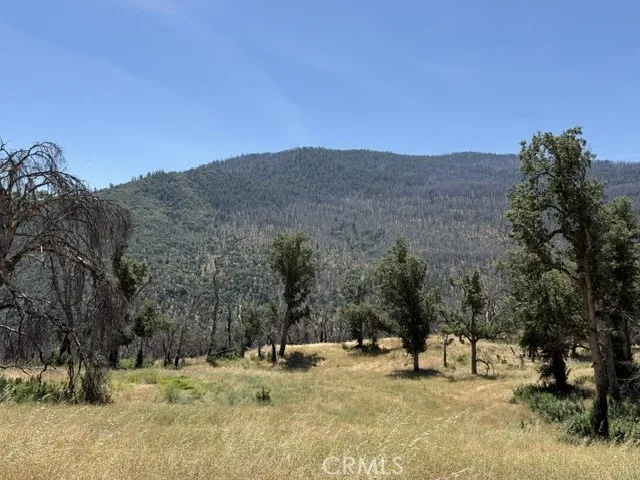 24 N #35 RD, Paskenta Paskenta, CA 96074