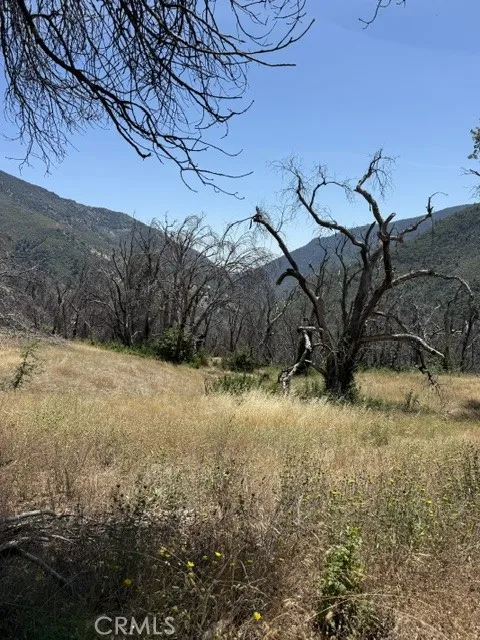 24 N #35 RD, Paskenta Paskenta, CA 96074