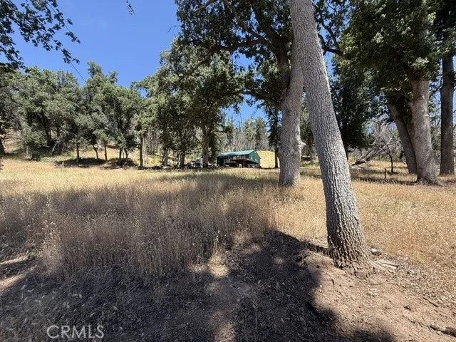 24 N #35 RD, Paskenta Paskenta, CA 96074