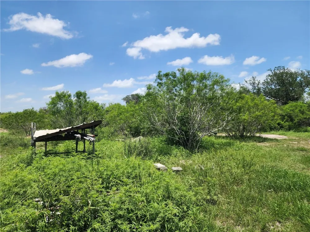 510 County Road 2391 Orange Grove, TX 78372