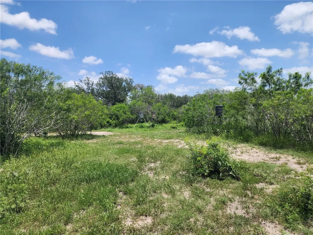 510 County Road 2391 Orange Grove, TX 78372