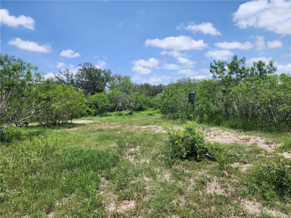 510 County Road 2391 Orange Grove, TX 78372