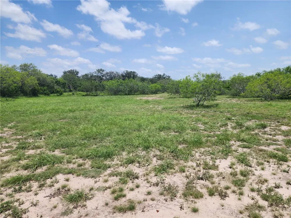 510 County Road 2391 Orange Grove, TX 78372