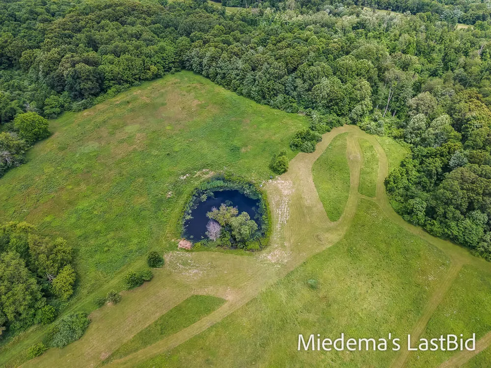 12915 Cassidy Road Assyria Township, MI 49021