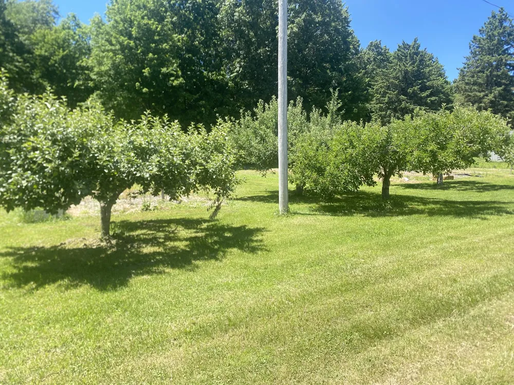 12915 Cassidy Road Assyria Township, MI 49021