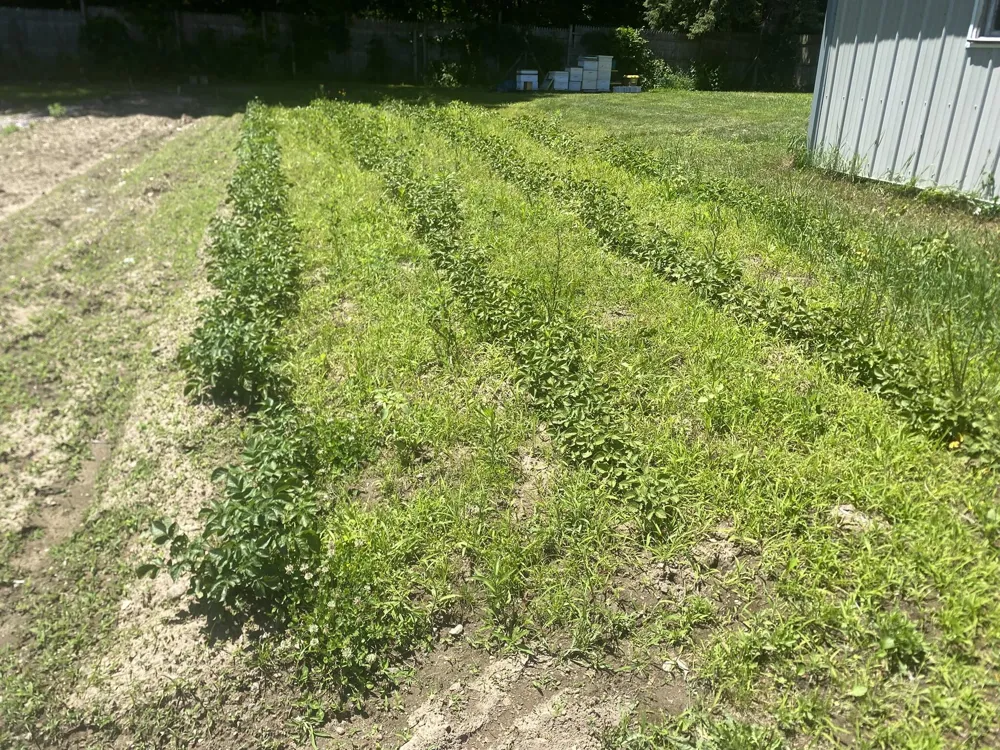 12915 Cassidy Road Assyria Township, MI 49021