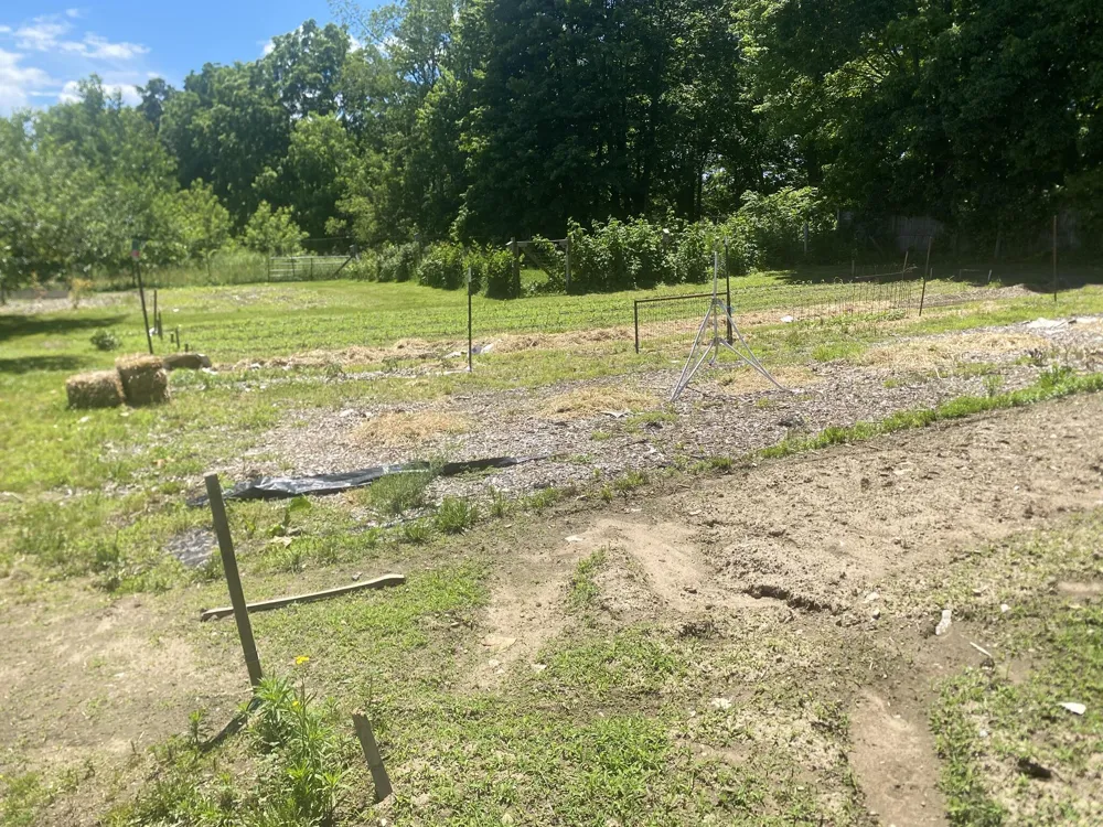 12915 Cassidy Road Assyria Township, MI 49021
