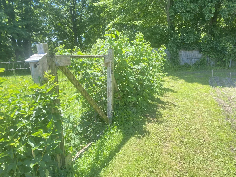 12915 Cassidy Road Assyria Township, MI 49021