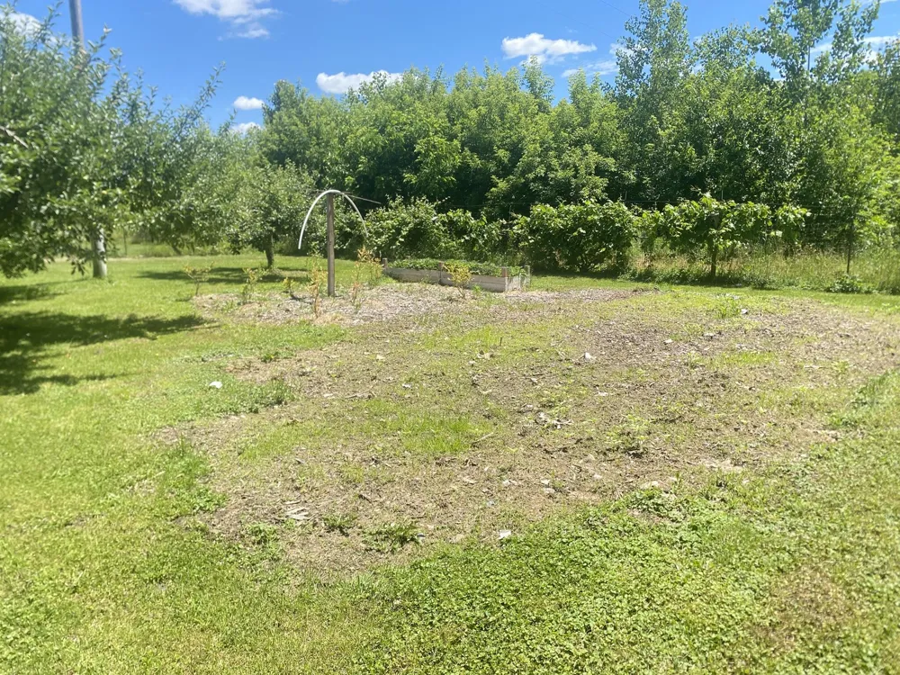12915 Cassidy Road Assyria Township, MI 49021