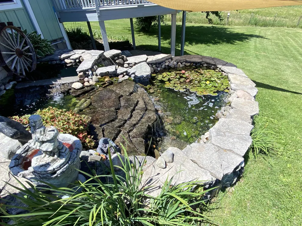 12915 Cassidy Road Assyria Township, MI 49021