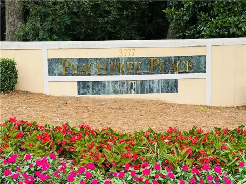 3777 Peachtree Road NE #1234