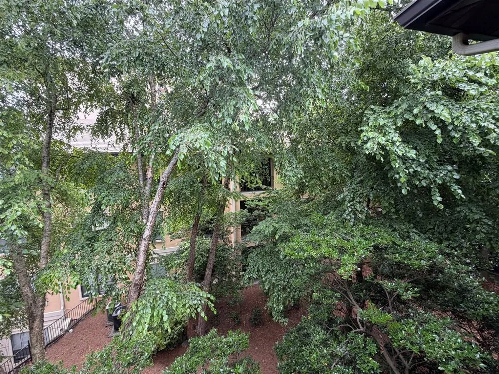 3777 Peachtree Road NE #1234 Brookhaven, GA 30319