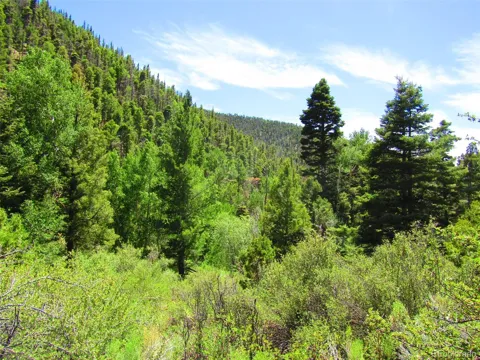 Lot 5526 Joy Road