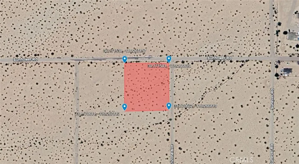 Arizona Avenue Joshua Tree, CA 92252