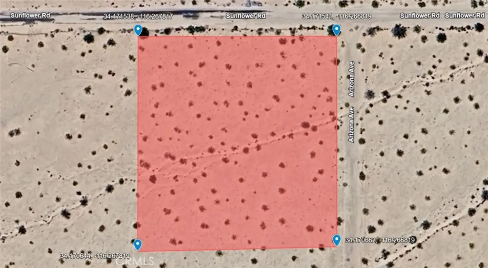 Arizona Avenue Joshua Tree, CA 92252