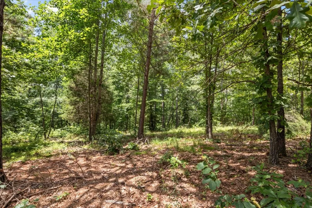 2035 Skyview Dr Centerville, TN 37033