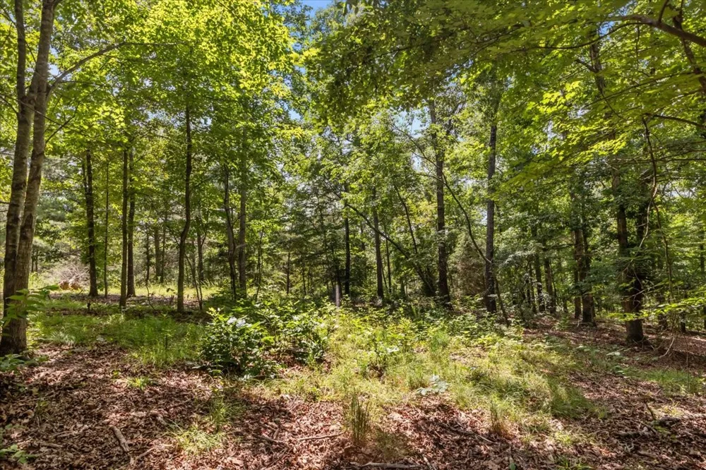 2035 Skyview Dr Centerville, TN 37033