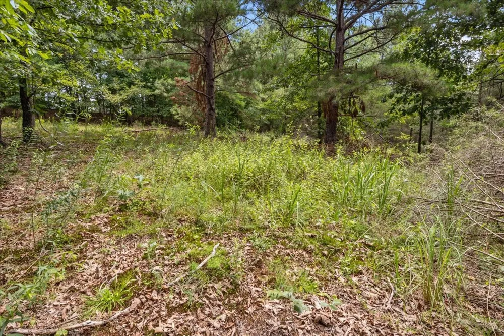 2035 Skyview Dr Centerville, TN 37033