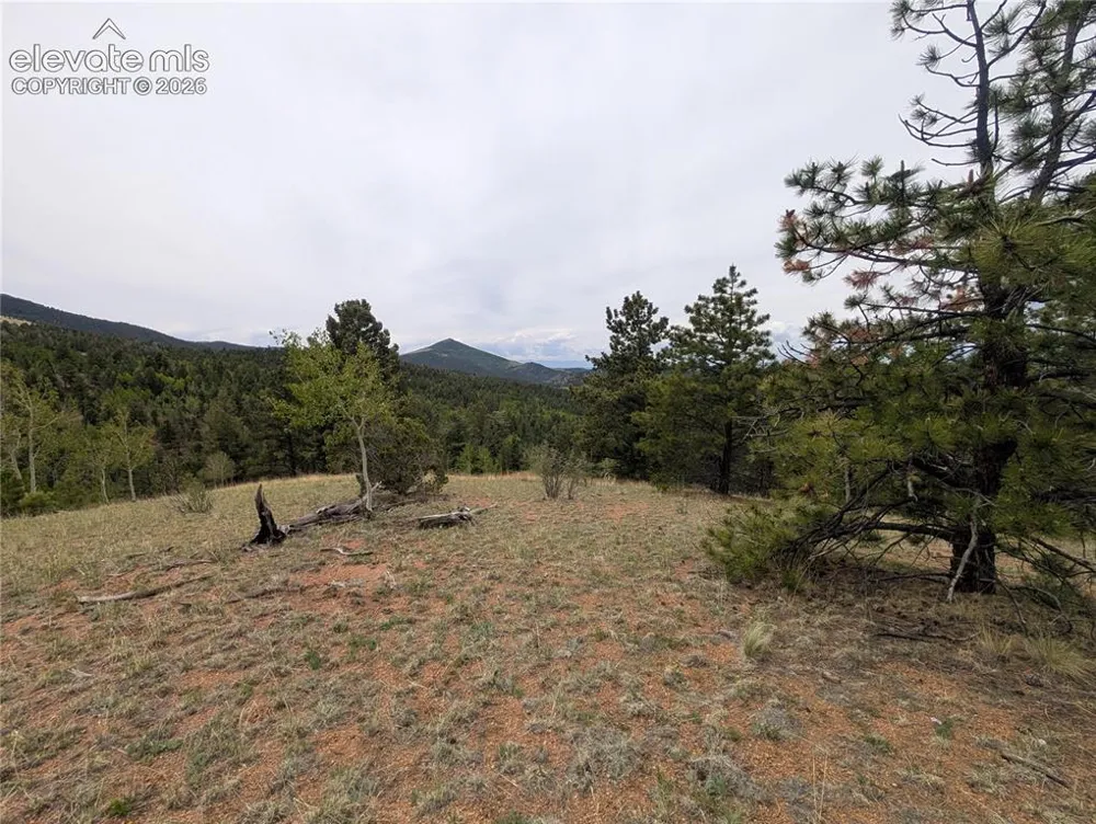 16 Princess Lane Cripple Creek, CO 80813