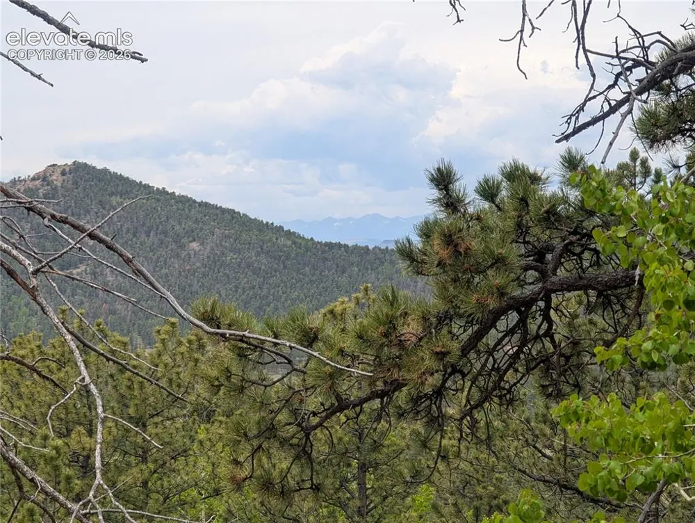 16 Princess Lane Cripple Creek, CO 80813