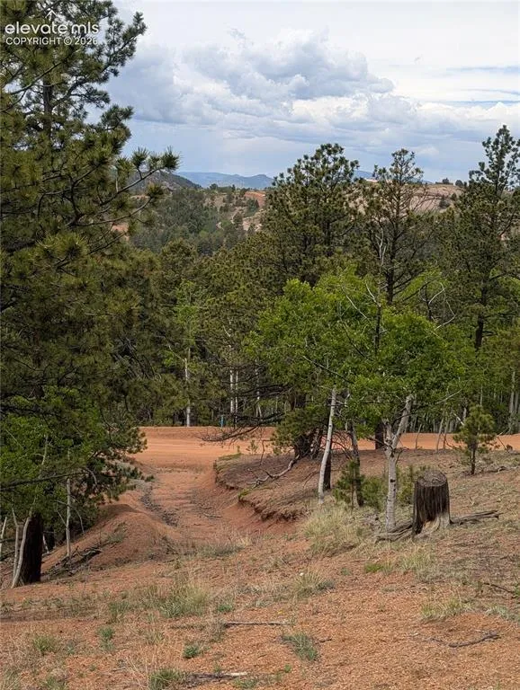 16 Princess Lane Cripple Creek, CO 80813