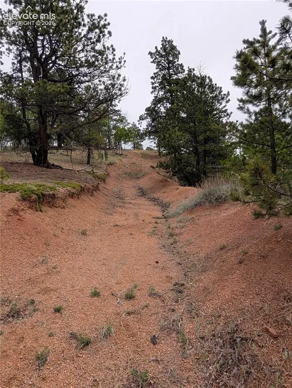 16 Princess Lane Cripple Creek, CO 80813