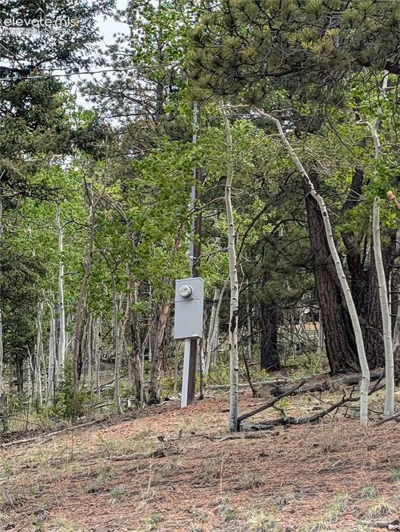 16 Princess Lane Cripple Creek, CO 80813
