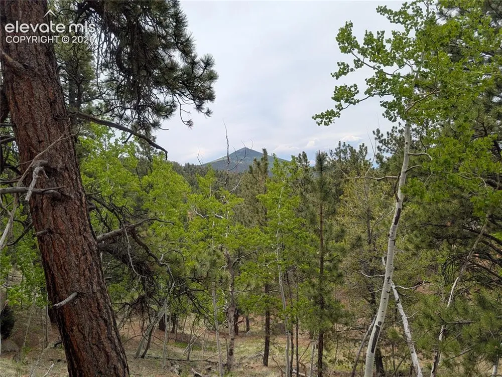 16 Princess Lane Cripple Creek, CO 80813