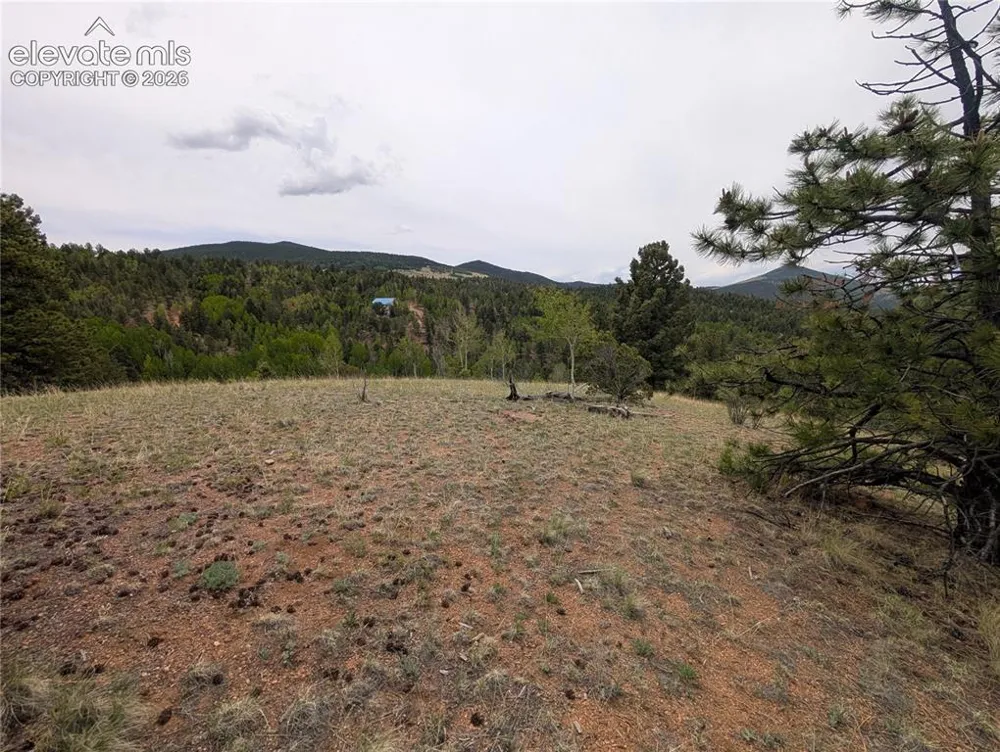 16 Princess Lane Cripple Creek, CO 80813