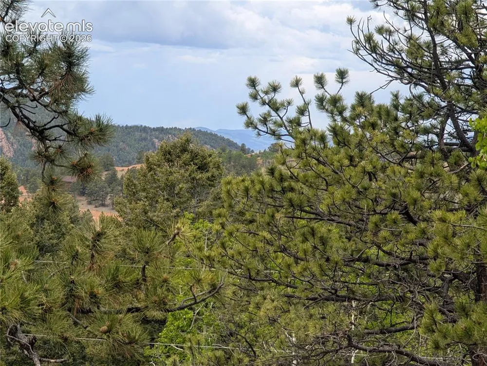 16 Princess Lane Cripple Creek, CO 80813