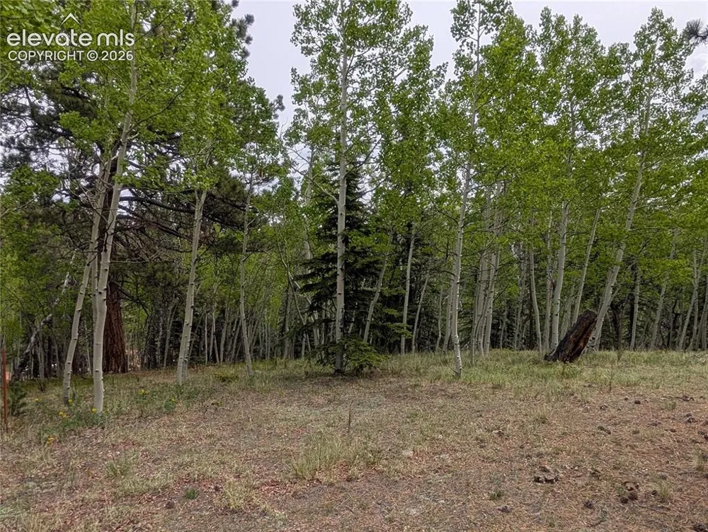 16 Princess Lane Cripple Creek, CO 80813