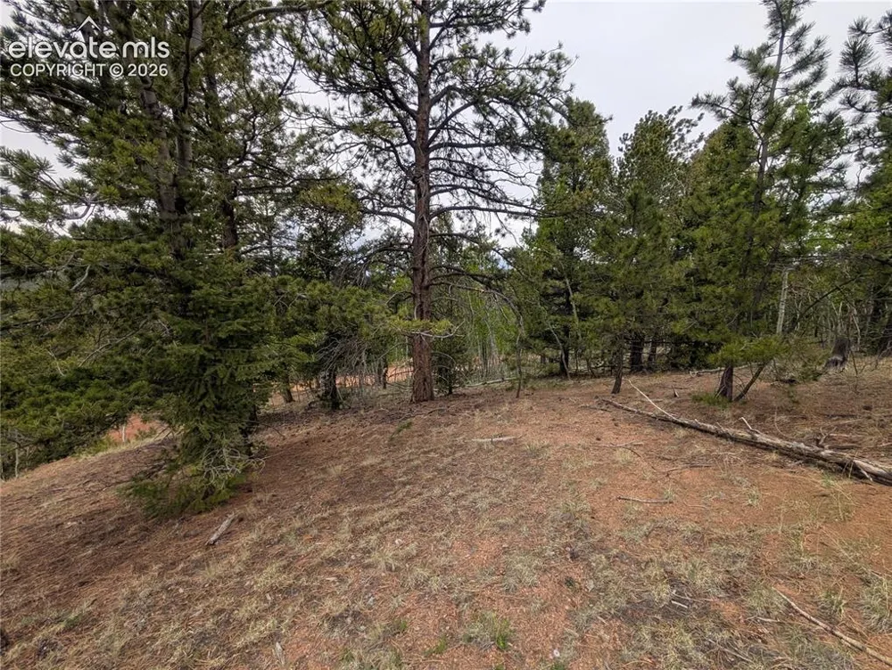 16 Princess Lane Cripple Creek, CO 80813