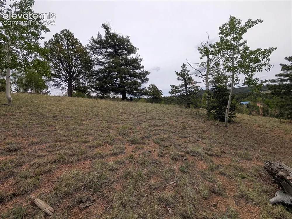 16 Princess Lane Cripple Creek, CO 80813