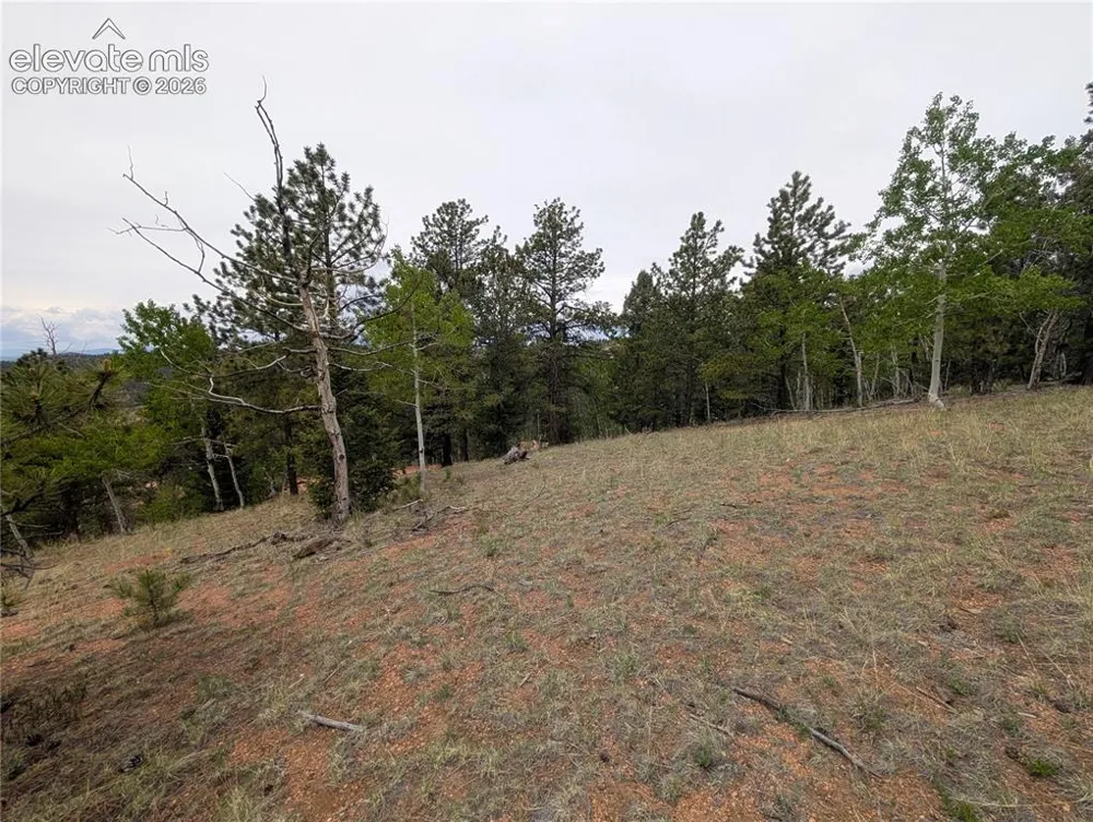 16 Princess Lane Cripple Creek, CO 80813