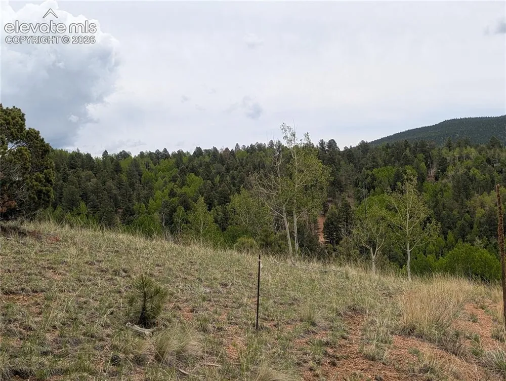 16 Princess Lane Cripple Creek, CO 80813