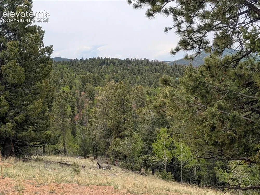 16 Princess Lane Cripple Creek, CO 80813