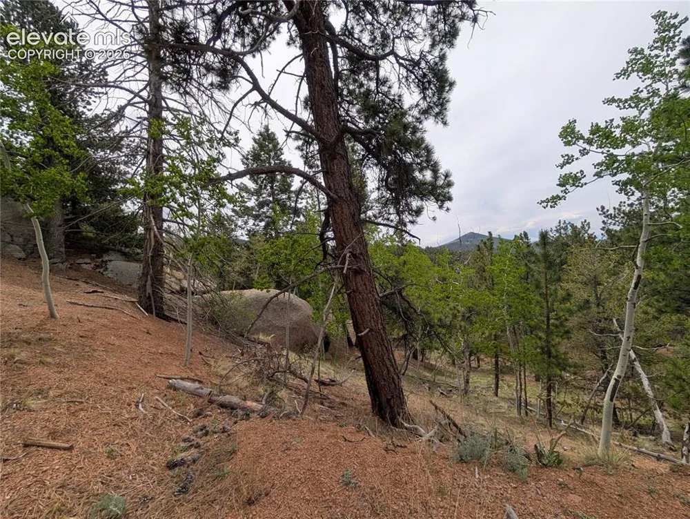 16 Princess Lane Cripple Creek, CO 80813