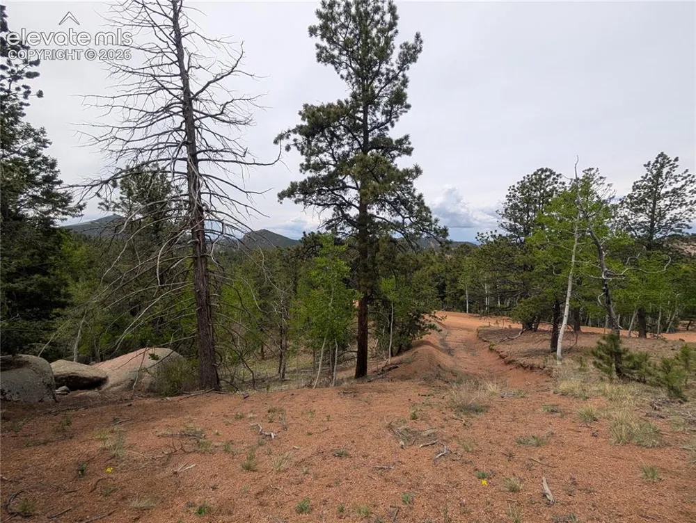 16 Princess Lane Cripple Creek, CO 80813