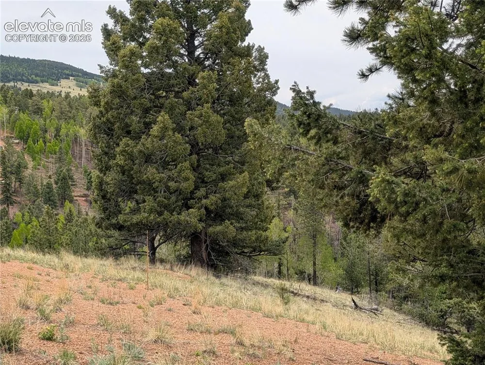 16 Princess Lane Cripple Creek, CO 80813
