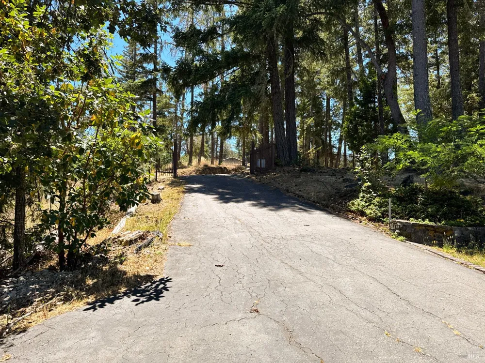 16990 Old Boy Scout Road Willits, CA 95490